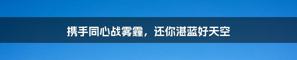 携手同心战雾霾,还你湛蓝好天空