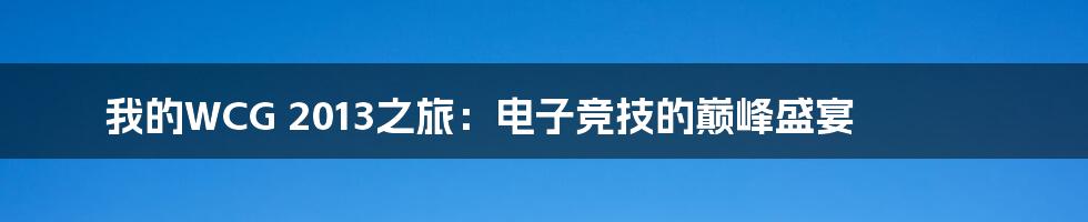 我的WCG 2013之旅:电子竞技的巅峰盛宴