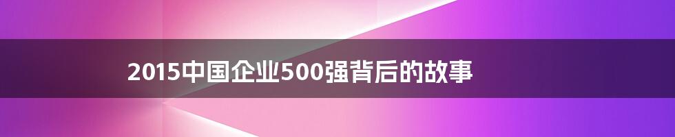 2015中国企业500强背后的故事