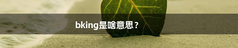 bking是啥意思?