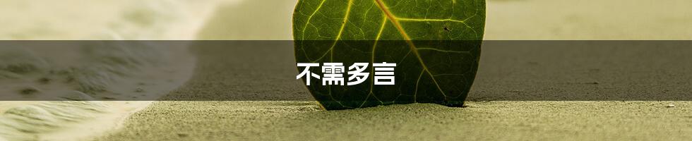 不需多言