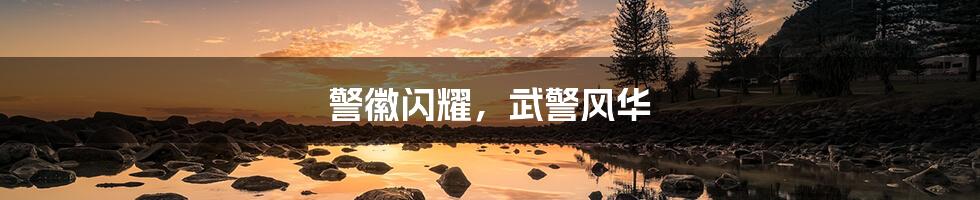 警徽闪耀,武警风华