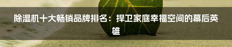 除湿机十大畅销品牌排名:捍卫家庭幸福空间的幕后英雄