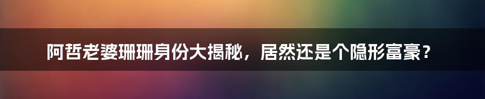 阿哲老婆珊珊身份大揭秘,居然还是个隐形富豪?