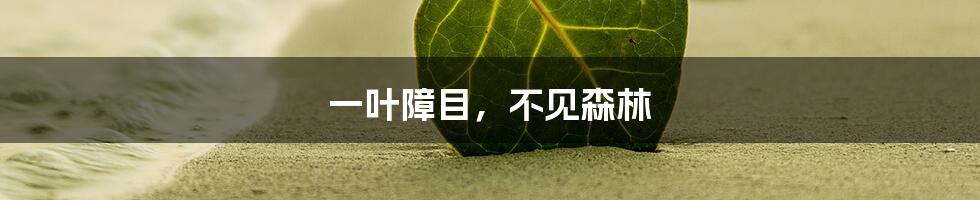 一叶障目,不见森林