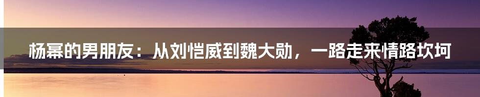 杨幂的男朋友：从刘恺威到魏大勋，一路走来情路坎坷