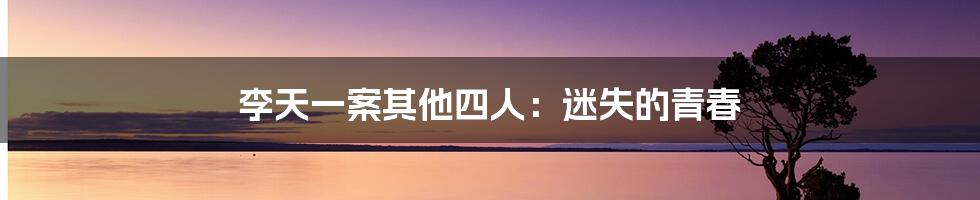 李天一案其他四人:迷失的青春