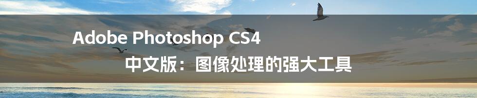 Adobe Photoshop CS4 中文版:图像处理的强大工具