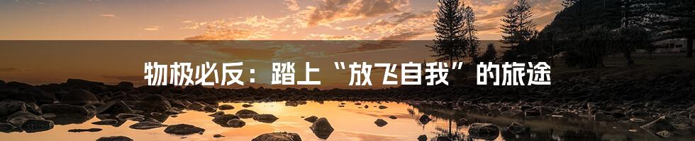 物极必反:踏上“放飞自我”的旅途