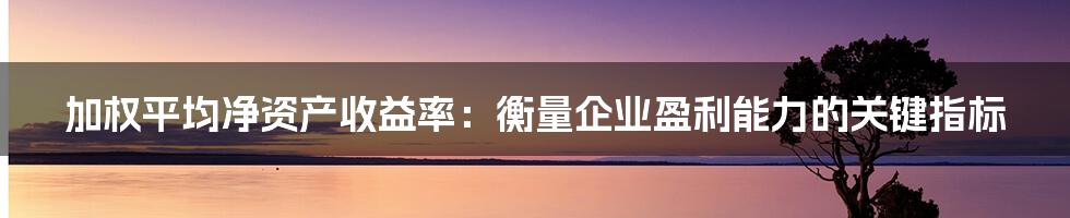 加权平均净资产收益率：衡量企业盈利能力的关键指标