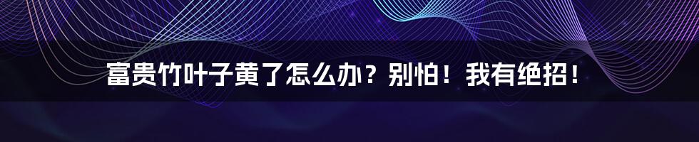 富贵竹叶子黄了怎么办？别怕！我有绝招！