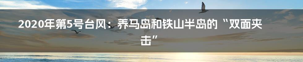 2020年第5号台风：养马岛和铁山半岛的“双面夹击”