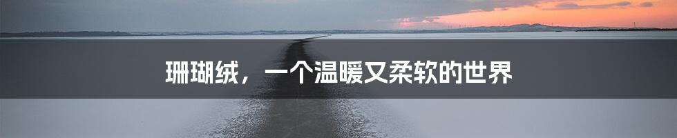 珊瑚绒,一个温暖又柔软的世界
