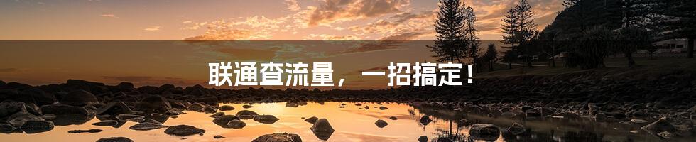联通查流量,一招搞定!