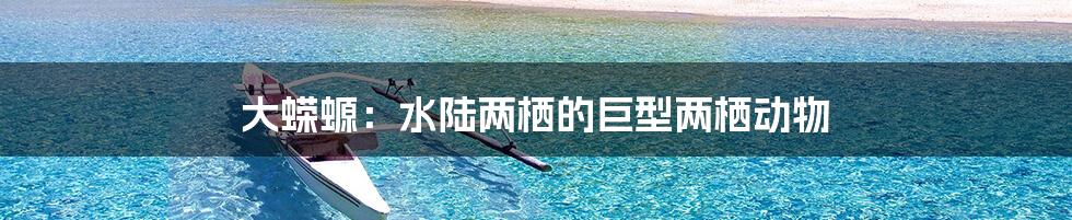 大蝾螈：水陆两栖的巨型两栖动物