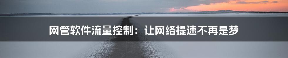 网管软件流量控制：让网络提速不再是梦