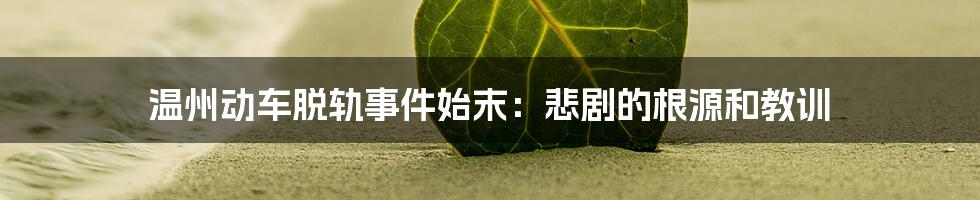 温州动车脱轨事件始末:悲剧的根源和教训