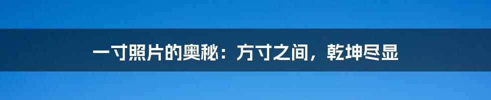 一寸照片的奥秘:方寸之间,乾坤尽显
