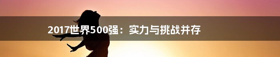 2017世界500强：实力与挑战并存