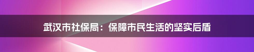 武汉市社保局：保障市民生活的坚实后盾