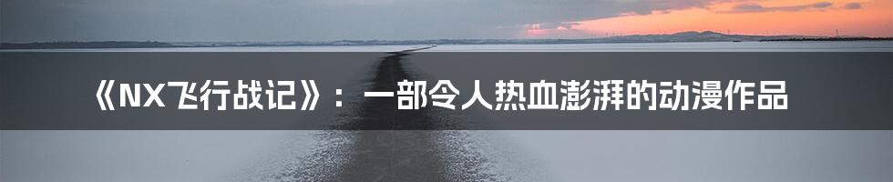 《NX飞行战记》:一部令人热血澎湃的动漫作品