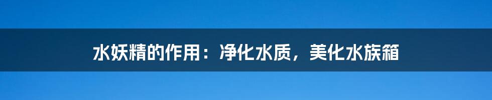 水妖精的作用：净化水质，美化水族箱