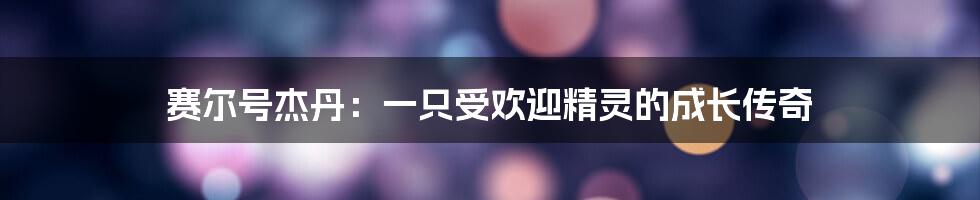 赛尔号杰丹:一只受欢迎精灵的成长传奇
