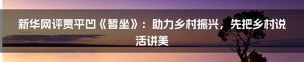 新华网评贾平凹《暂坐》：助力乡村振兴，先把乡村说活讲美