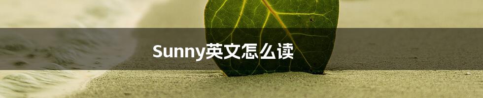 Sunny英文怎么读