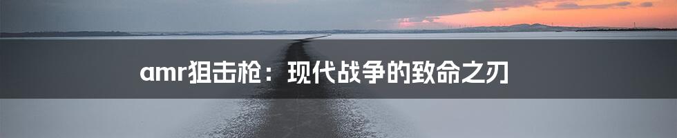 amr狙击枪：现代战争的致命之刃