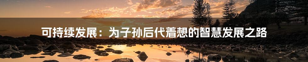 可持续发展:为子孙后代着想的智慧发展之路