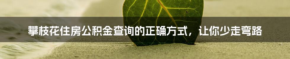 攀枝花住房公积金查询的正确方式，让你少走弯路