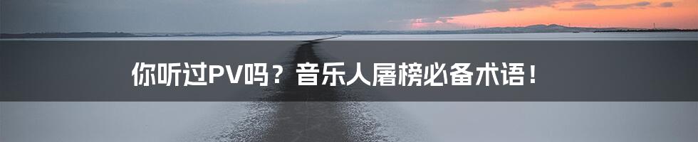 你听过PV吗？音乐人屠榜必备术语！