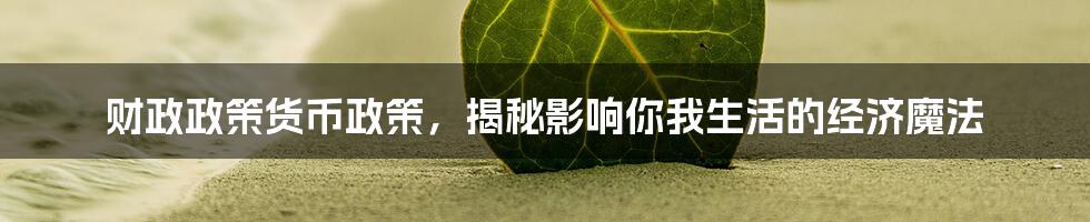 财政政策货币政策，揭秘影响你我生活的经济魔法