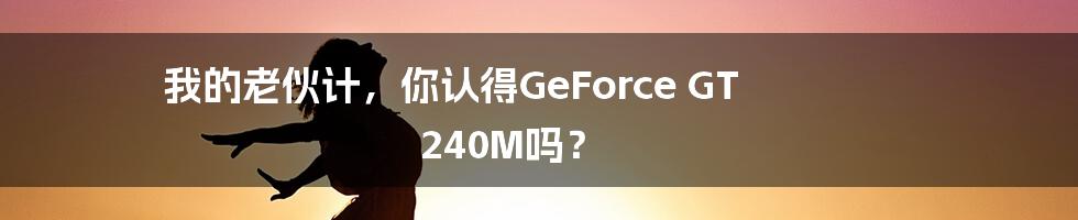 我的老伙计，你认得GeForce GT 240M吗？