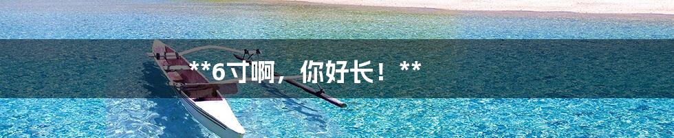 **6寸啊,你好长!**