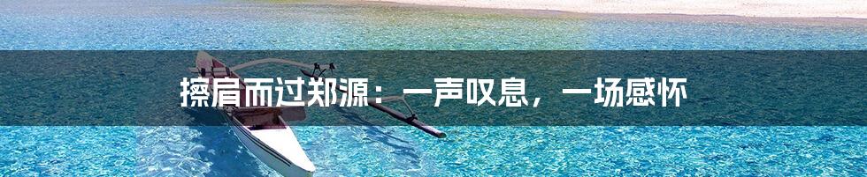 擦肩而过郑源:一声叹息,一场感怀