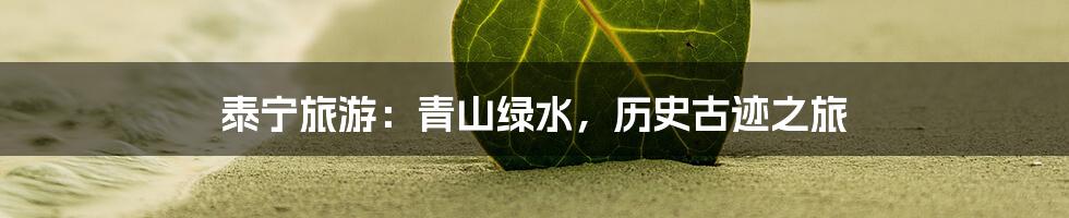 泰宁旅游:青山绿水,历史古迹之旅