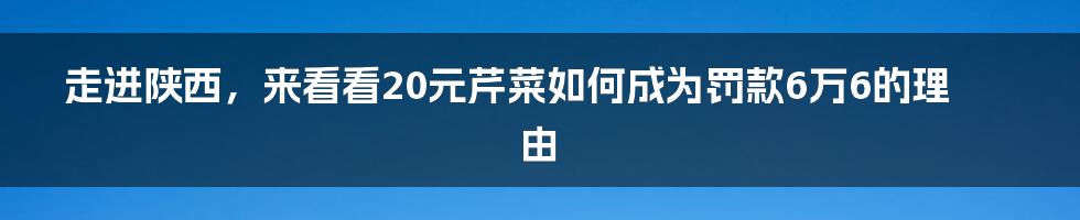 走进陕西,来看看20元芹菜如何成为罚款6万6的理由