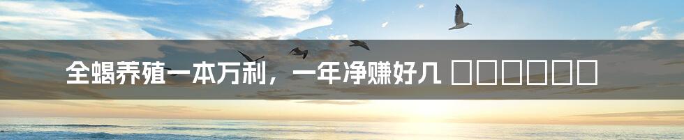 全蝎养殖一本万利,一年净赚好几 میلیون