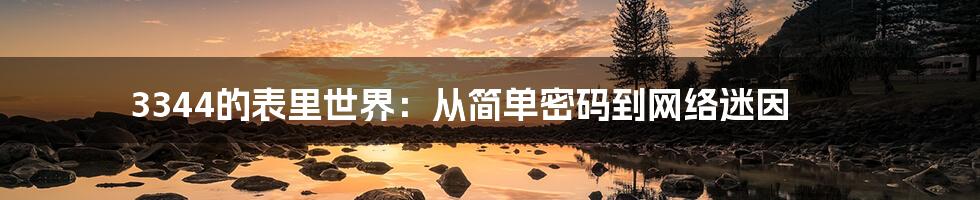 3344的表里世界:从简单密码到网络迷因