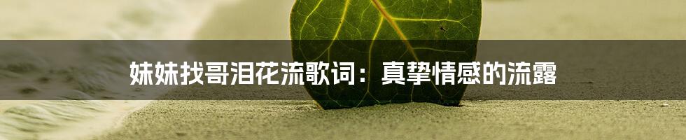 妹妹找哥泪花流歌词:真挚情感的流露