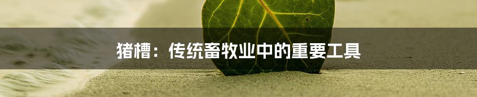 猪槽:传统畜牧业中的重要工具