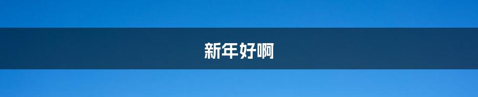 新年好啊