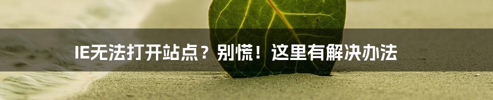 IE无法打开站点？别慌！这里有解决办法