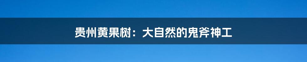 贵州黄果树：大自然的鬼斧神工