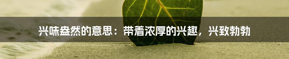 兴味盎然的意思：带着浓厚的兴趣，兴致勃勃