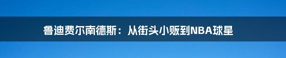 鲁迪费尔南德斯:从街头小贩到NBA球星