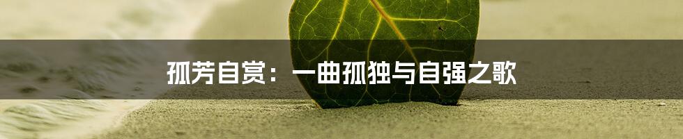 孤芳自赏：一曲孤独与自强之歌