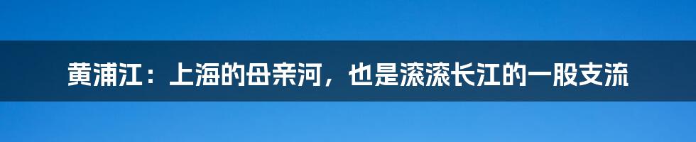 黄浦江：上海的母亲河，也是滚滚长江的一股支流